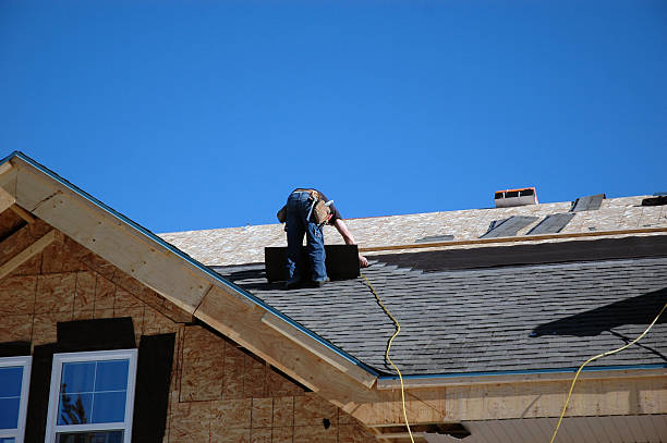 Best Storm Damage Roof Repair  in Galena, IL